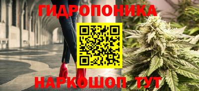spice Свободный
