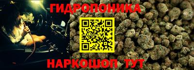 Альфа ПВП Северобайкальск